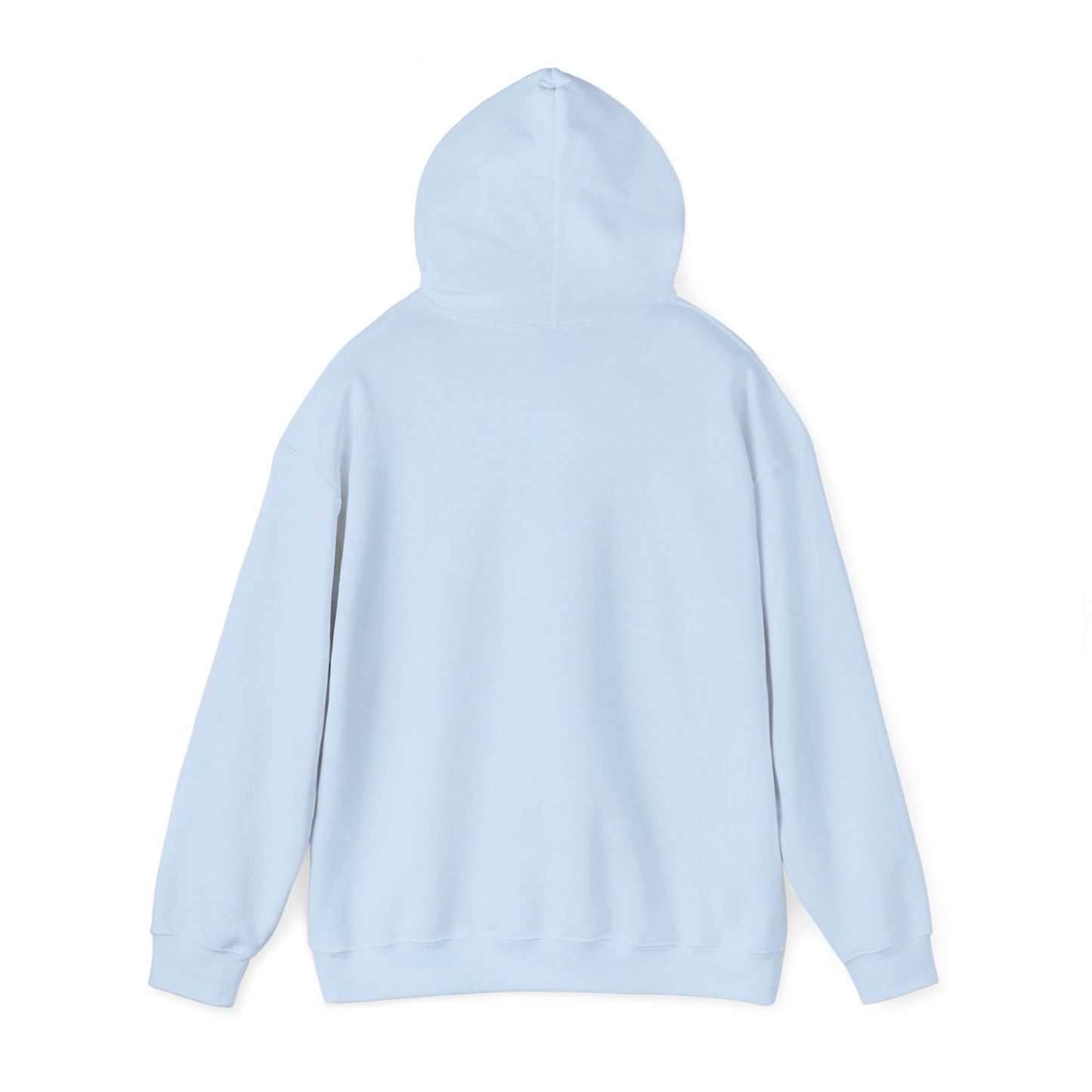 Light blue Gildan hoodie with double-lined hood up