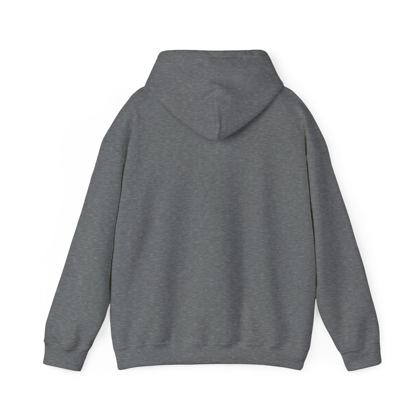 Ethically made unisex hoodie back view in sport gray
