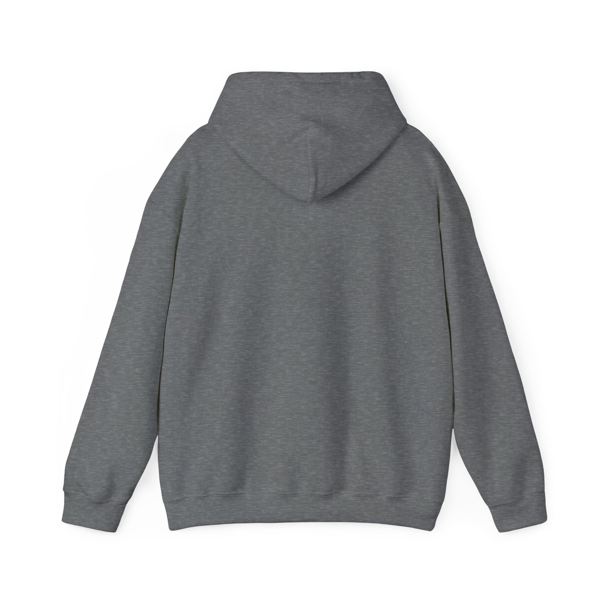 Ethically made unisex hoodie back view in sport gray