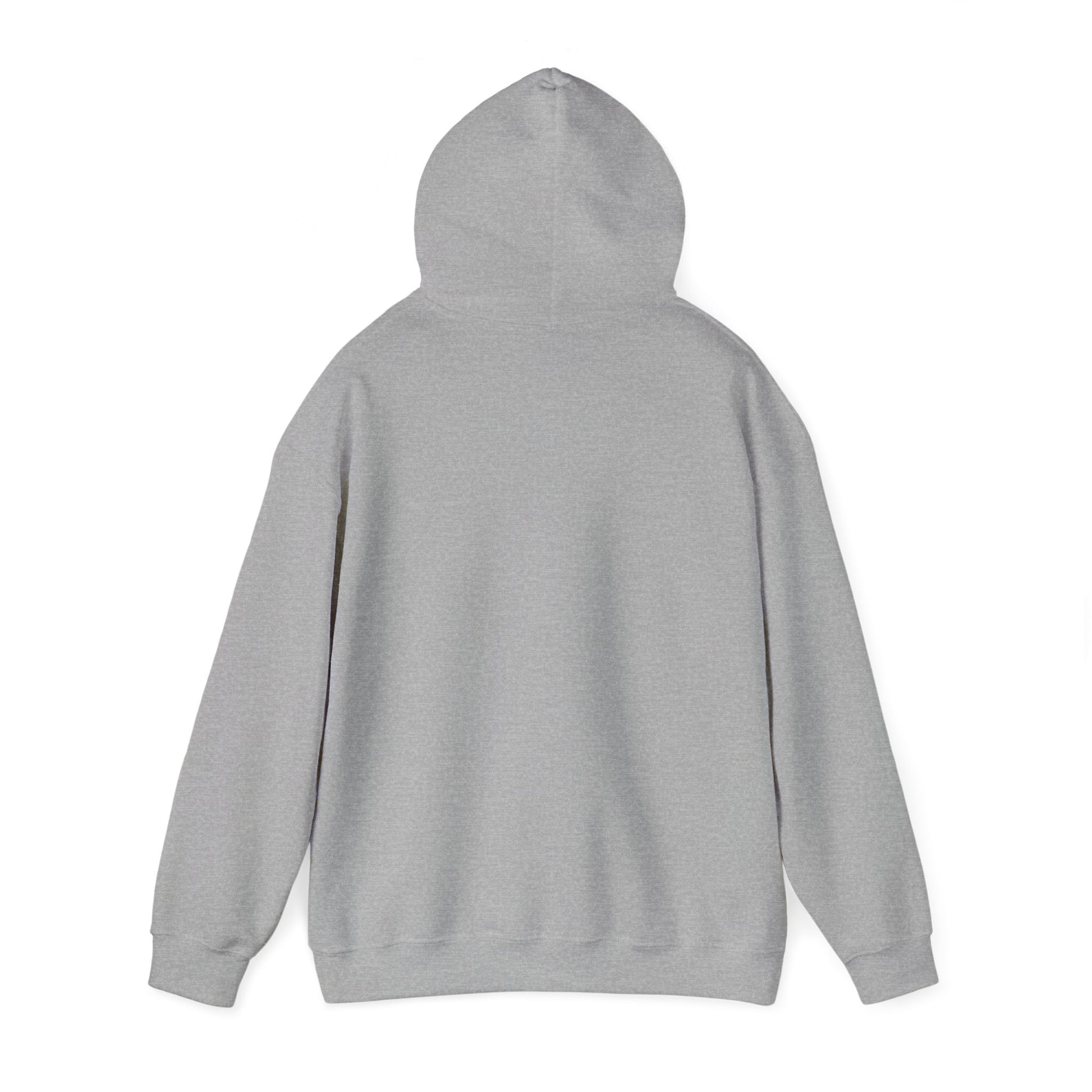 Dark gray hoodie hanging — classic fit and neutral tones
