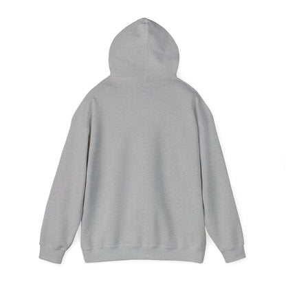 Dark gray hoodie hanging — classic fit and neutral tones