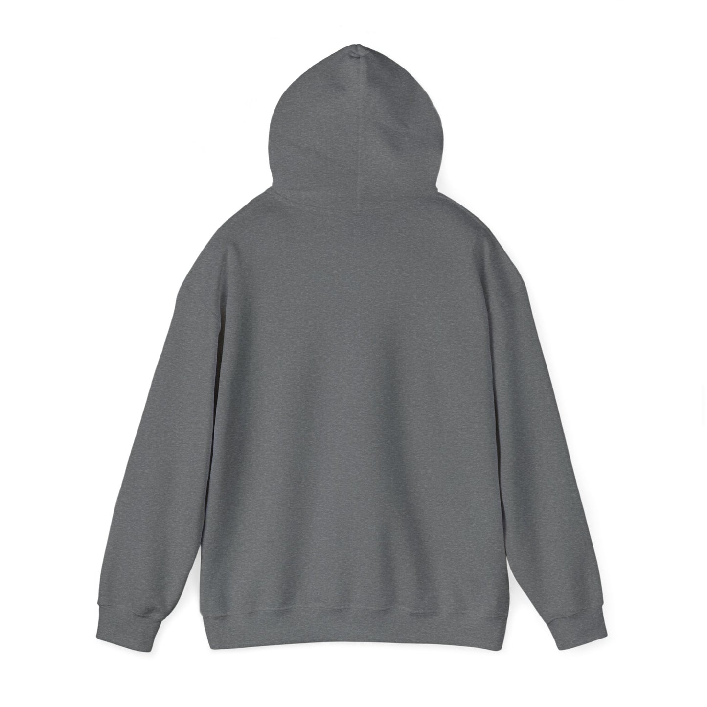 Ethically made unisex hoodie back view in sport gray