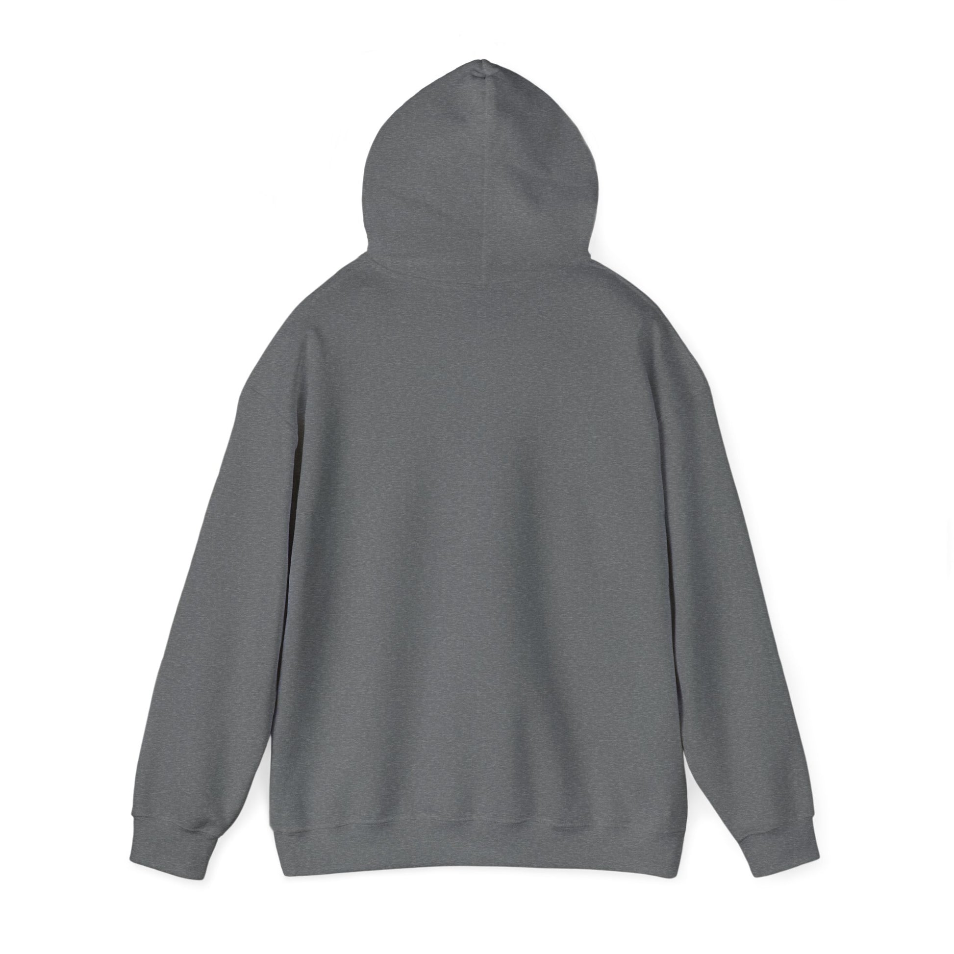 Ethically made unisex hoodie back view in sport gray