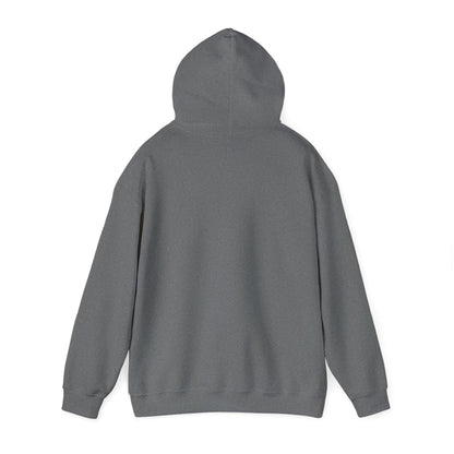 Ethically made unisex hoodie back view in sport gray