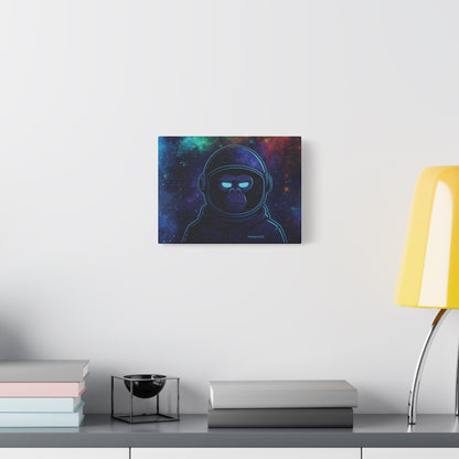 Cosmic Sentinel