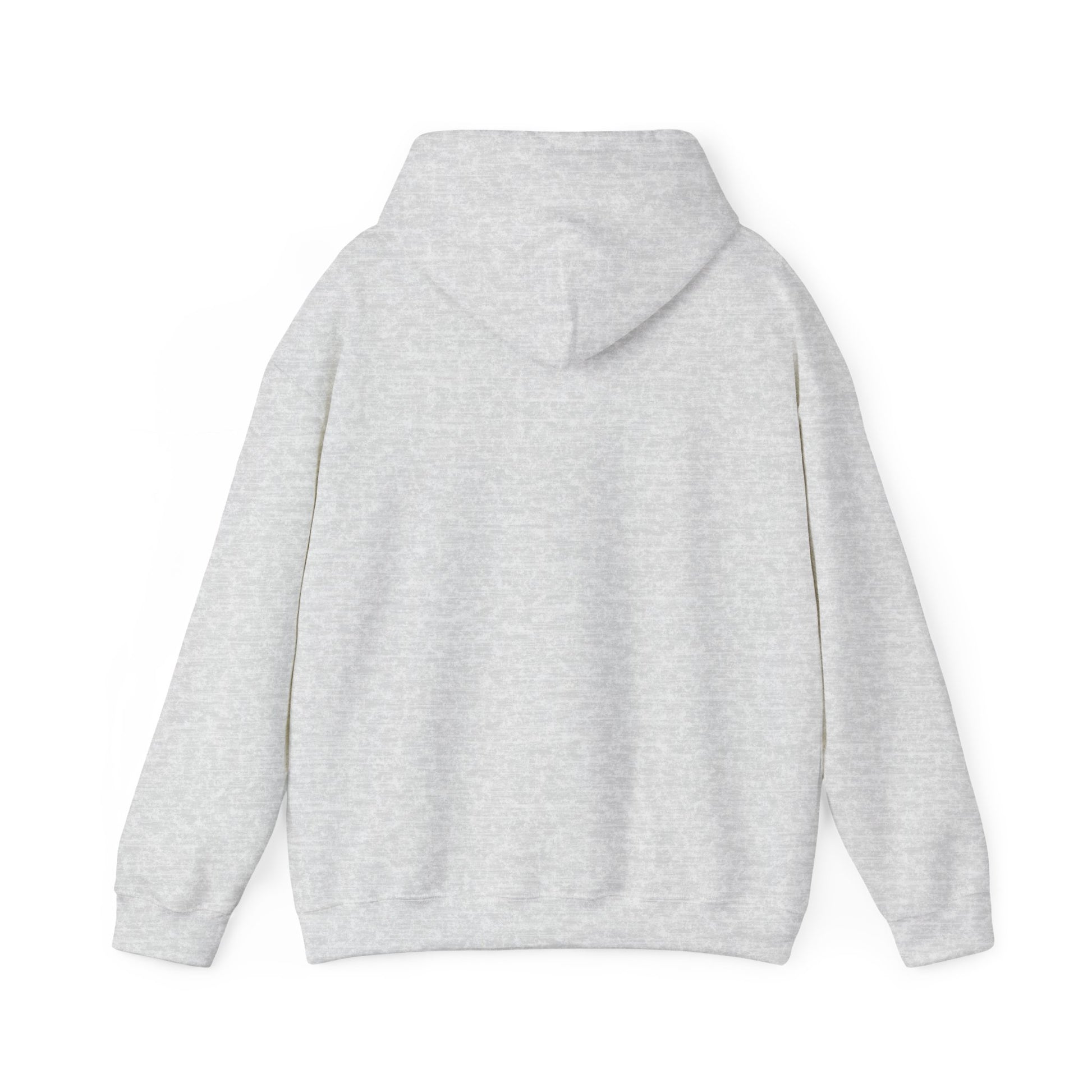 Ethically made unisex hoodie back view in sport gray