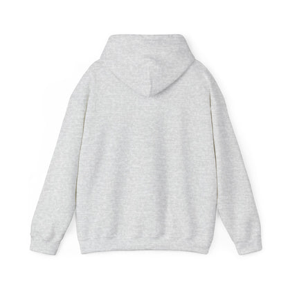 Ethically made unisex hoodie back view in sport gray