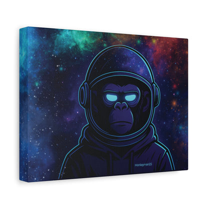 Cosmic Sentinel